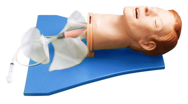 HUG/J004 - model do udrażniania dróg oddechowych