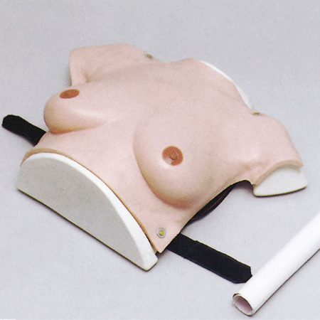 HUG/F7C - symulator badania piersi