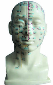 HUG/C00012 – akupunktura głowy
