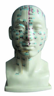 HUG/C00012 - akupunktura głowy