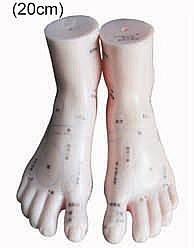 HUG/C00016/1 – model do masażu stóp