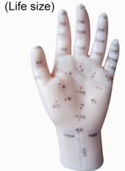 HUG/C00015 – akupunktura dłoni