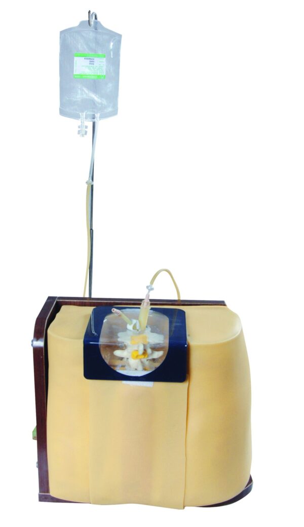 HUG/L68A - symulator punkcji lędźwiowej