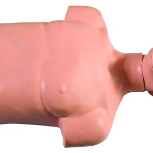 HUG/CPR169 – model korpusu do szkolenia CPR