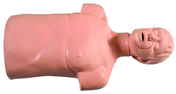 HUG/CPR169 - model korpusu do szkolenia CPR