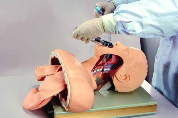 HUG/J50 - symulator intubacji dróg oddechowych