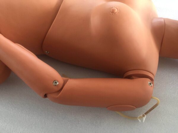 HUG/H2(NEW) - wielofunkcyjny manekin do treningu pielęgniarskiego (kobieta)