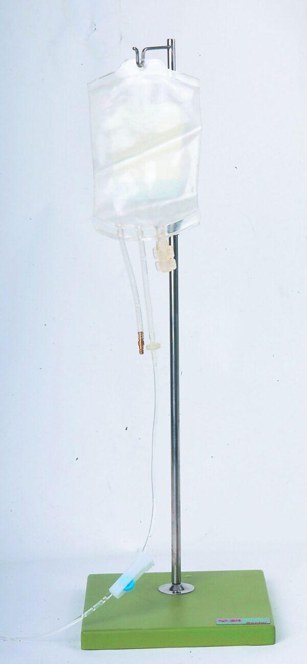 HUG/H16F - żeński model do treningu cewnikowania