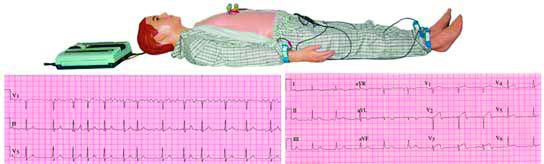 HUG/ZXD190 - zaawansowany manekin do nauki EKG