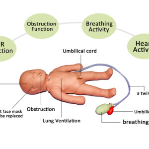 HUG/CPR – Infant 01