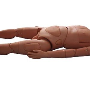 HUG/H100S(NEW) – manekin do zaawansowanej opieki pielęgniarskiej (dwupłciowy)