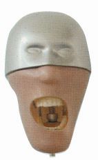 HUG/B10023/2 – model standardowy głowy (struktura jamy ustnej)