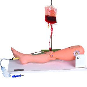 HUG/L65A – symulator nakłucia kości udowej (punkcja szpiku kostnego)