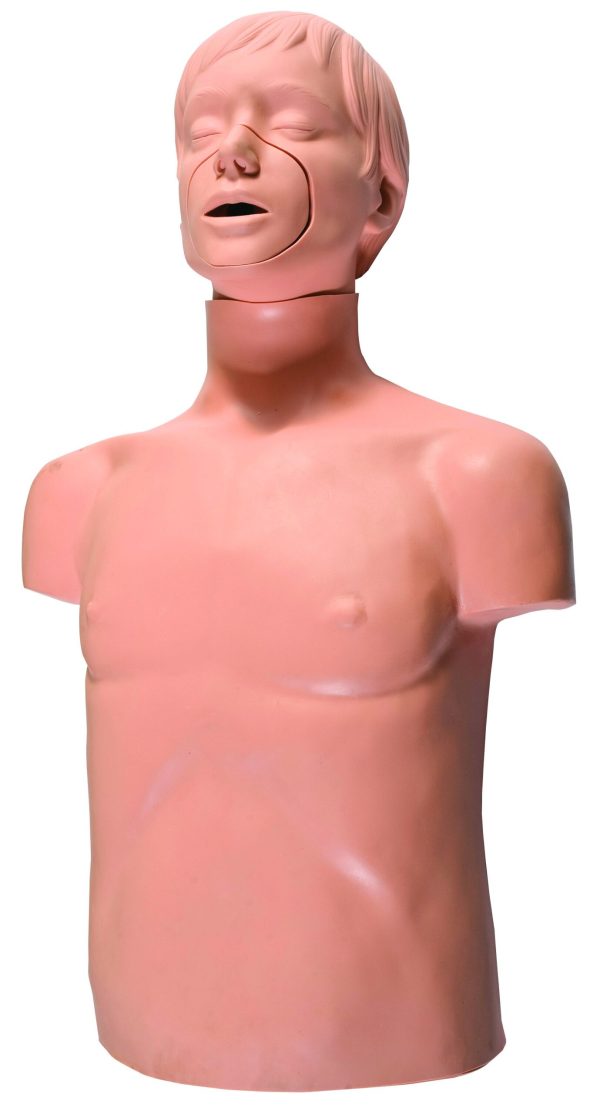 HUG/CPR169 - model korpusu do szkolenia CPR