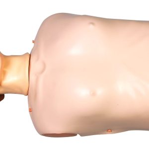 HUG/CPR175S – zaawansowany manekin (korpus) treningowy (RKO)