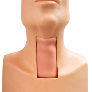 HUG/J58 – symulator tracheostomii