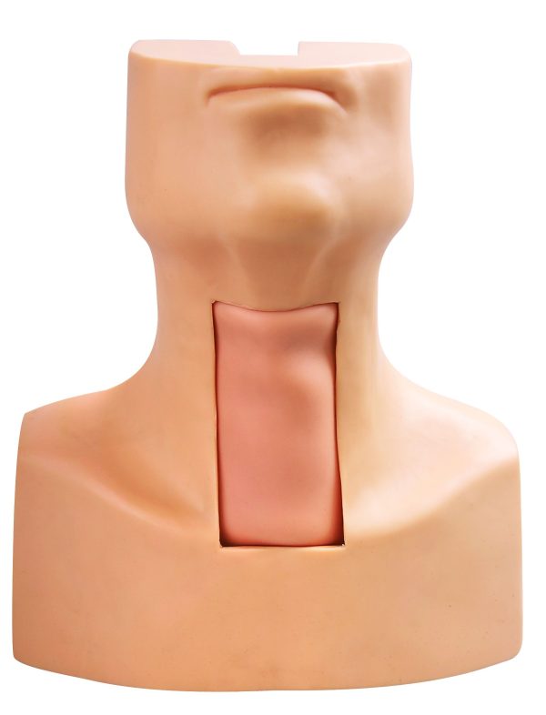 HUG/J58 - symulator tracheostomii