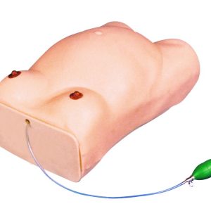 HUG/FW1 – zaawansowany elektroniczny model korpusu ciężarnej