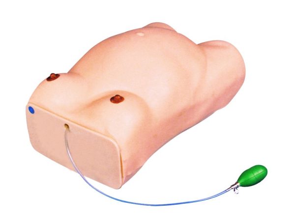 HUG/FW1 - zaawansowany elektroniczny model korpusu ciężarnej