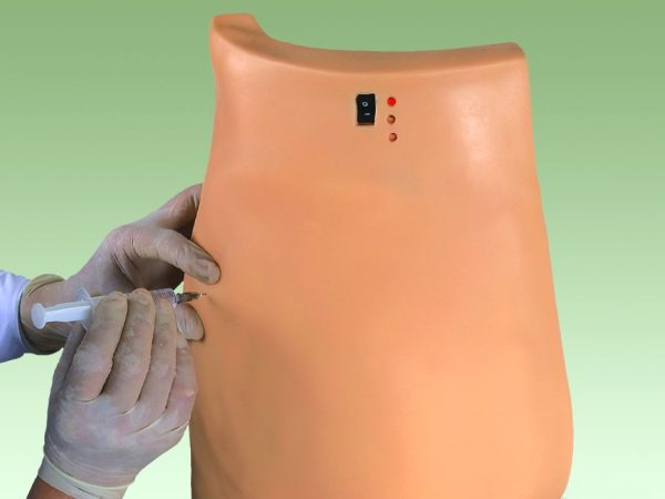 HUG/HS10A - elektroniczny model bioder i pośladków do treningu iniekcji
