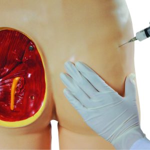 HUG/HS10C – zaawansowany model szkoleniowy iniekcji domięśniowych