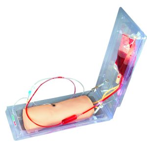 HUG/HS5G – model szkoleniowy I.V. łokcia