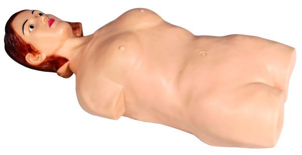 HUG/Z980A - model korpusu dorosłego człowieka do treningu palpacyjnego
