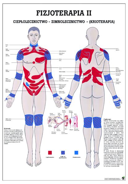 HUG/Plansza - fizjoterapia