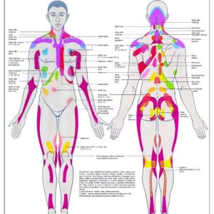 HUG/Plansza – fizjoterapia
