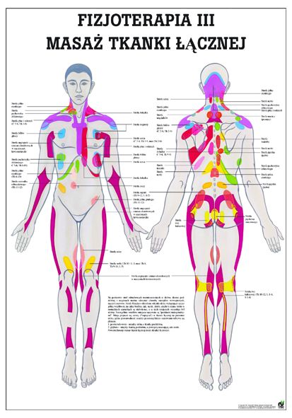 HUG/Plansza - fizjoterapia