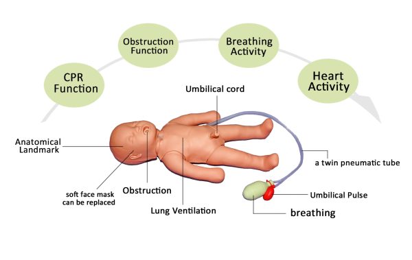 HUG/CPR - Infant 01