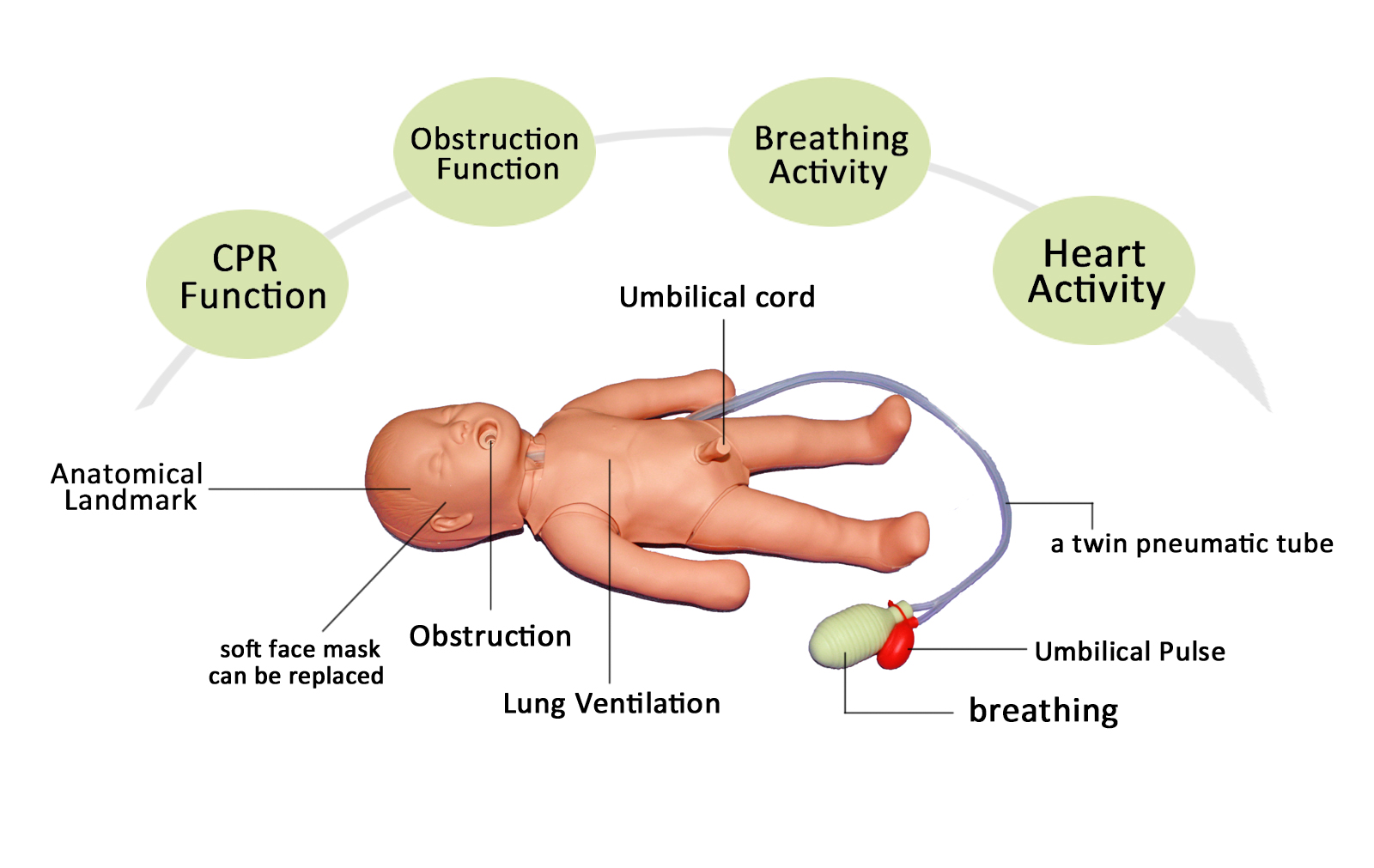 HUG/CPR - Infant 01
